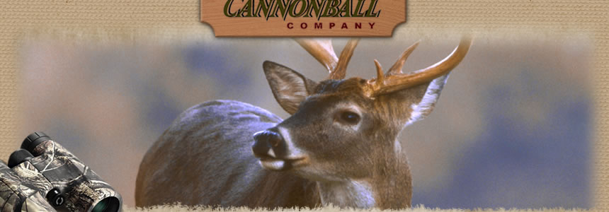 Pheasant Flying provided by Cannonball Company - pheasant hunting in North Dakota