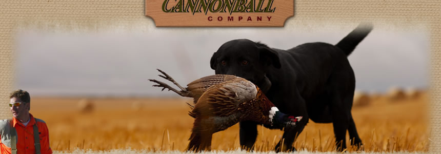 Pheasant Flying provided by Cannonball Company - pheasant hunting in North Dakota