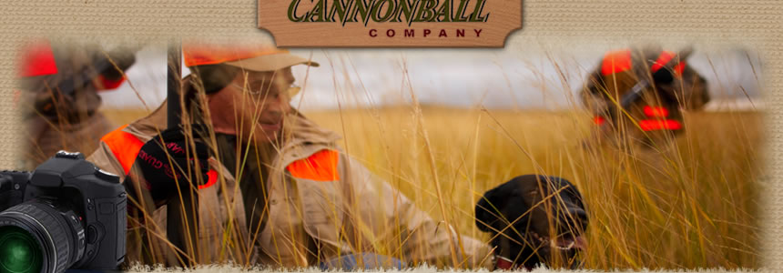 Pheasant Flying provided by Cannonball Company - pheasant hunting in North Dakota