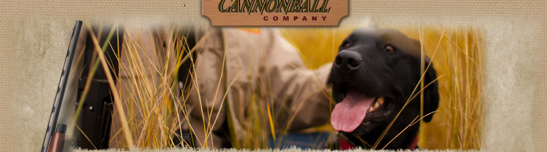 Pheasant Flying provided by Cannonball Company - pheasant hunting in North Dakota