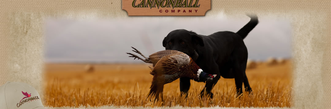 Cannonball Company