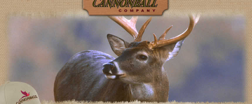 Cannonball Company