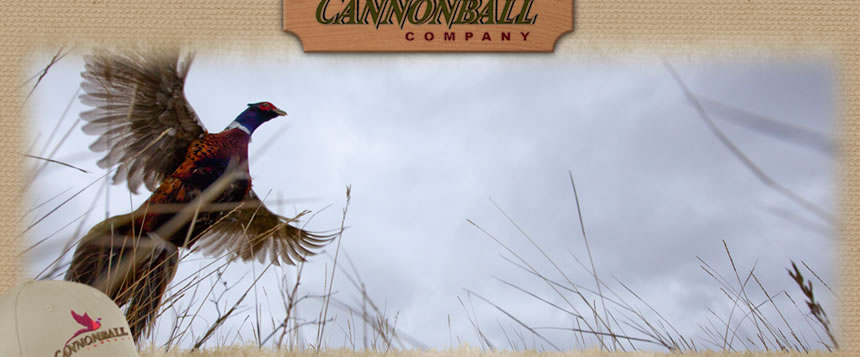 Cannonball Company