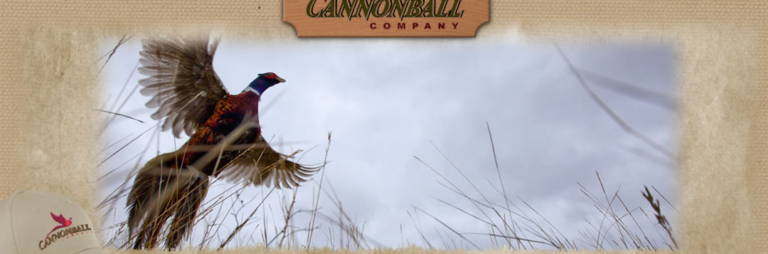Cannonball Company
